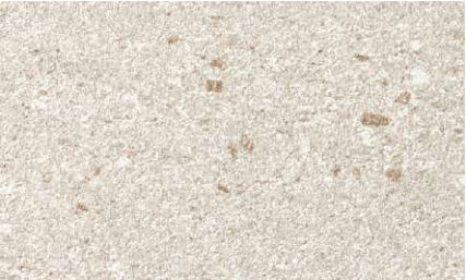 giấy dán tường FE78155 Vân đá be hồng