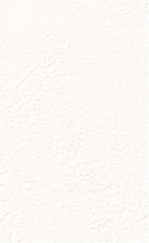 giấy dán tường FE78417 Trơn sần trắng