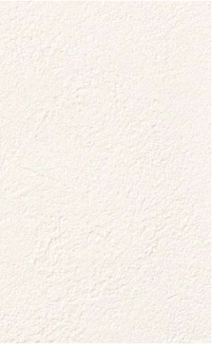 giấy dán tường FE78418 Trơn sần trắng