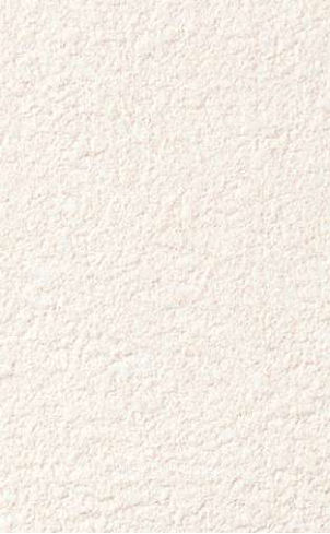 giấy dán tường FE78426 Trơn sần trắng