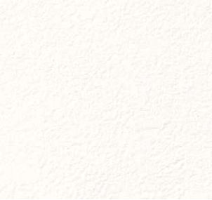 giấy dán tường FE78578 Trơn sần trắng