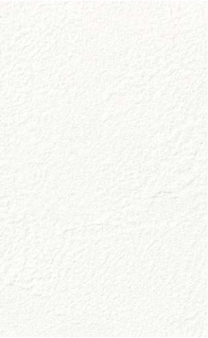 giấy dán tường FE78591 Trơn sần trắng
