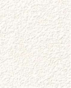 giấy dán tường FE78601 Trơn sần trắng