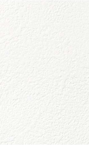 giấy dán tường FE78606 Trơn sần trắng