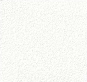 giấy dán tường FE78610 Trơn sần trắng
