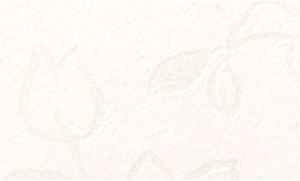 giấy dán tường FE78638 Hoa lá trắng