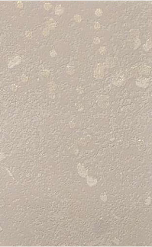 giấy dán tường FE78779 Hoa lá be xám