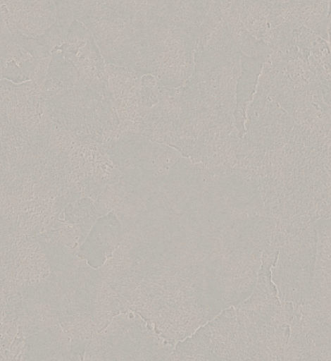 giấy dán tường OMI2039 Trơn sần be xám