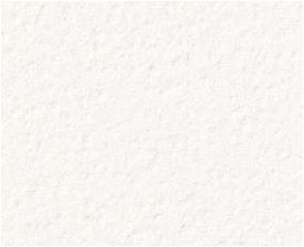 giấy dán tường RE55023 Trơn sần trắng