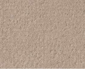 giấy dán tường RE55039 Trơn sần nâu nhạt
