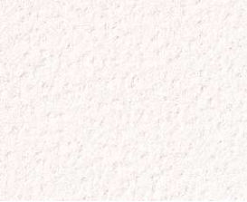 giấy dán tường RE55047 Trơn sần trắng