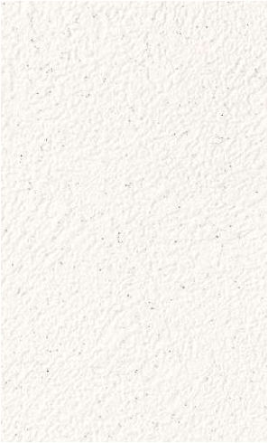 giấy dán tường RE55173 Trơn sần trắng
