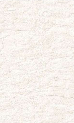 giấy dán tường RE55177 Trơn sần trắng