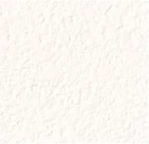 giấy dán tường RE55201 Trơn sần trắng