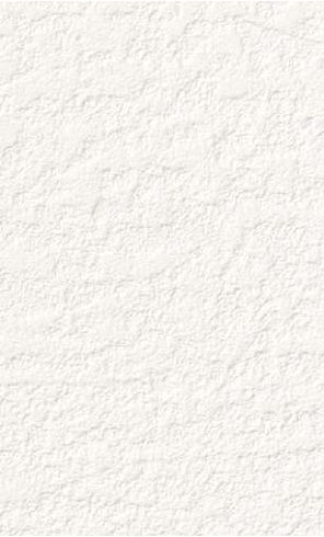 giấy dán tường RE55225 Trơn sần trắng