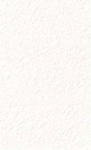 giấy dán tường RE55241 Trơn sần trắng