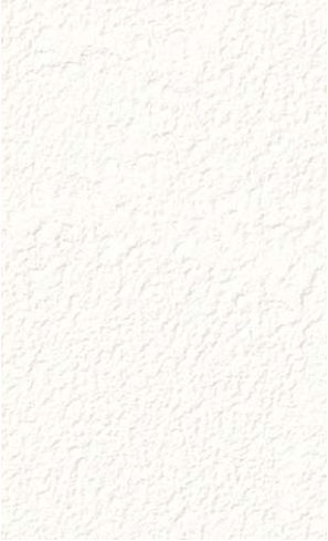 giấy dán tường RE55245 Trơn sần trắng