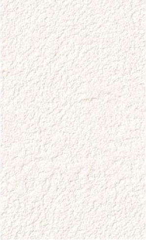giấy dán tường RE55246 Trơn sần trắng