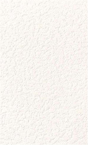 giấy dán tường RE55341 Trơn sần trắng