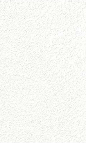 giấy dán tường RE55355 Trơn sần trắng