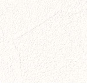 giấy dán tường RE55389 Vân vữa trắng