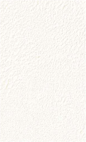 giấy dán tường RE55457 Trơn sần trắng