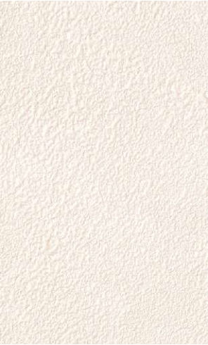 giấy dán tường RE55458 Trơn sần trắng