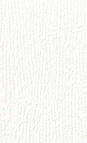 giấy dán tường RE55543 Trơn sần trắng