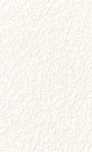 giấy dán tường RE55550 Trơn sần trắng