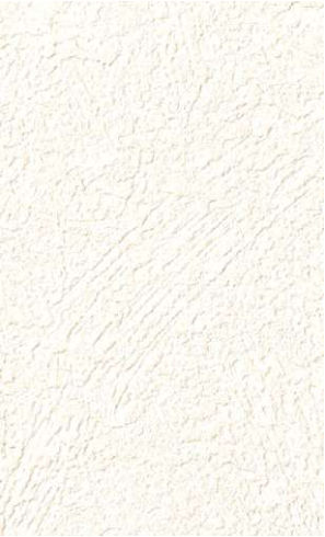 giấy dán tường RE55553 Trơn sần trắng