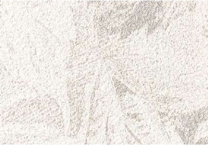 giấy dán tường RE55821 Hoa lá trắng