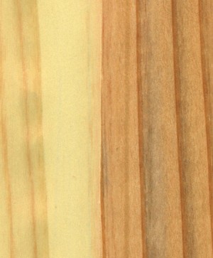 giấy dán tường SGC151 Will Wood (gỗ lạng) be