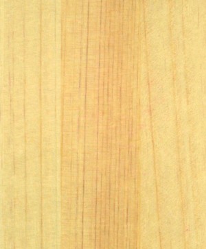 giấy dán tường SGC153 Will Wood (gỗ lạng) be