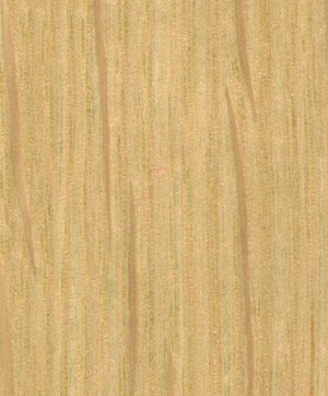 giấy dán tường SGC157 Will Wood (gỗ lạng) be