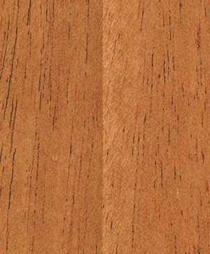 giấy dán tường SGC161 Will Wood (gỗ lạng) nâu