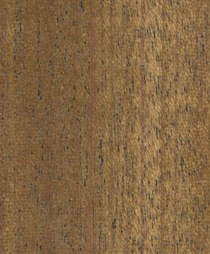 giấy dán tường SGC163 Will Wood (gỗ lạng) nâu