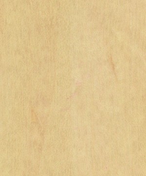 giấy dán tường SGC165 Will Wood (gỗ lạng) be