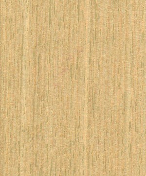 giấy dán tường SGC166 Will Wood (gỗ lạng) be