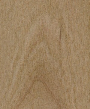 giấy dán tường SGC168 Will Wood (gỗ lạng) be