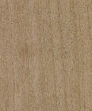 giấy dán tường SGC169 Will Wood (gỗ lạng) be