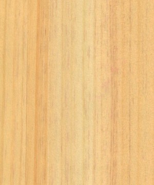 giấy dán tường SGC173 Will Wood (gỗ lạng) be