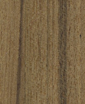giấy dán tường SGC175 Will Wood (gỗ lạng) nâu