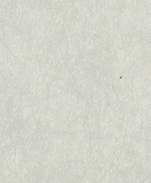 giấy dán tường SGM1053 Color Selection trắng