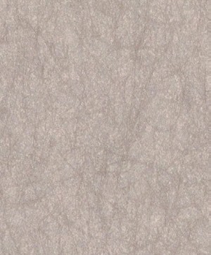giấy dán tường SGM1059 Color Selection be