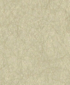 giấy dán tường SGM1060 Color Selection kem