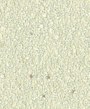giấy dán tường SGM1087 Color Selection kem