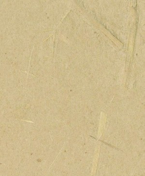 giấy dán tường SGM1101 Color Selection be