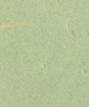 giấy dán tường SGM1102 Color Selection be