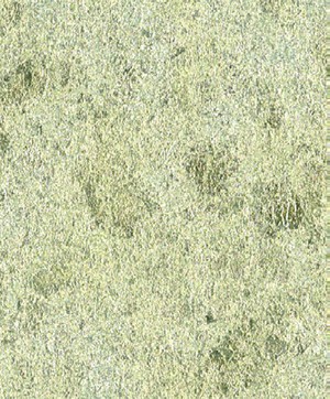 giấy dán tường SGM1184 Giấy dát kim loại (haku) kem