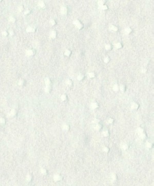 giấy dán tường SGP1771 Kage to Hikari trắng